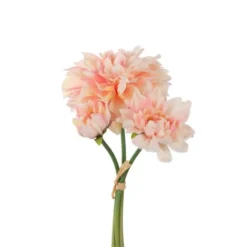 Dahliabunt