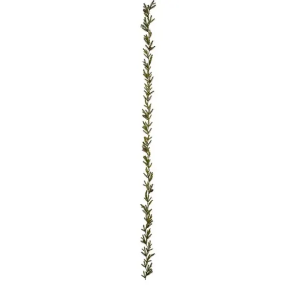 Grangirlang