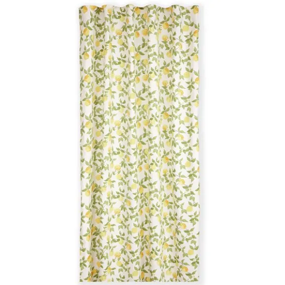 Lemonia gardiner 2-pack