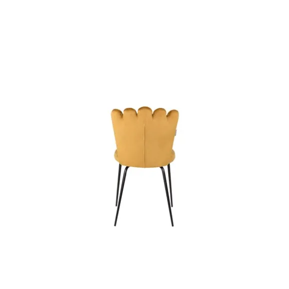 Limhamn matstol 2-pack