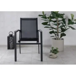 Parma matstol 2-pack