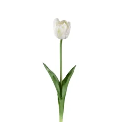 Tulpan 45 cm